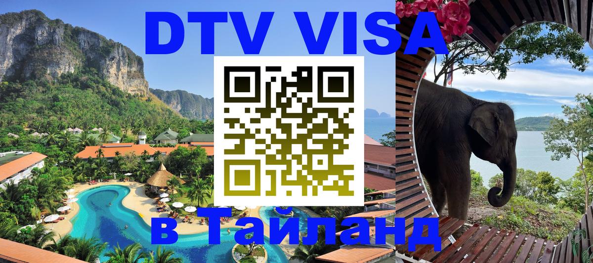 Сколько стоит DTV виза — актуальные цены, оформление даже без документов - 19.11.2025 